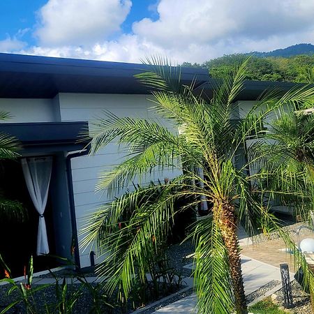 ウビタ Madre Terra Bed & Breakfast エクステリア 写真